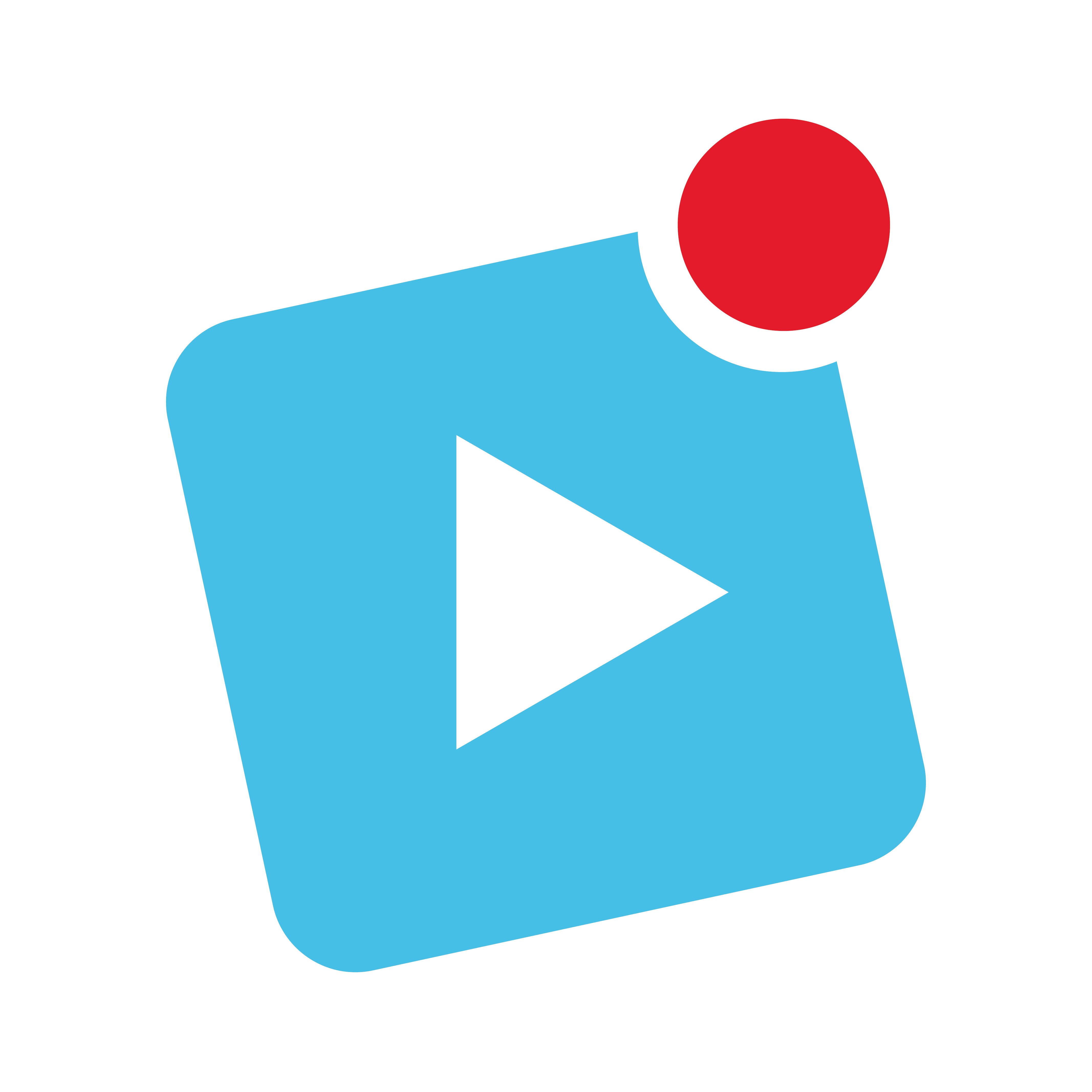 ScreenCrop Logo